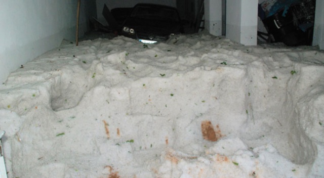 Garajı dolu bastı, görenler gözlerine inanamadı