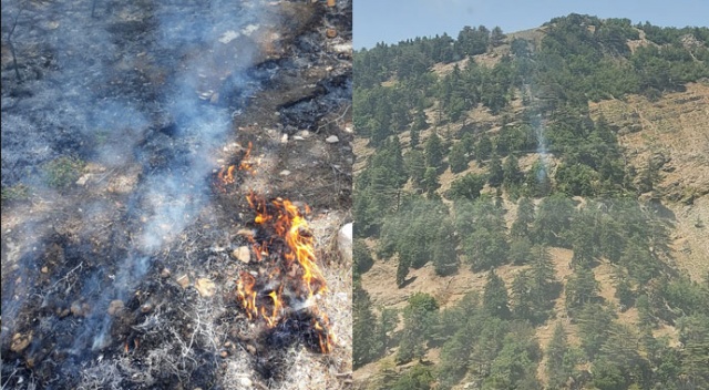 Hassa’da orman yangını, iki dekar alan zarar gördü
