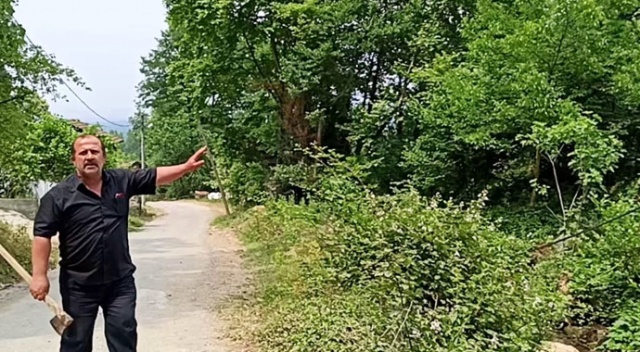 İnternet hizmeti alamayan muhtar önce kabloları kesti, sonra direkleri parçaladı İnternet hizmeti alamayan muhtar önce kabloları kesti, sonra direkleri parçaladı