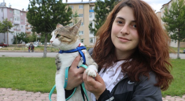 İşkence edilen sokak kedisini sahiplenip sağlığına kavuşturdu İşkence edilen sokak kedisini sahiplenip sağlığına kavuşturdu