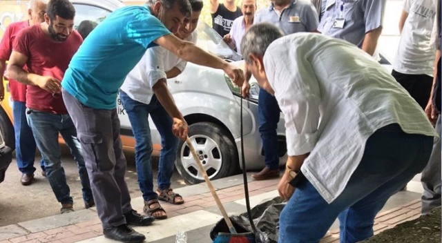 Kaldırımda yürüyen vatandaşların üzerine yılan düştü
