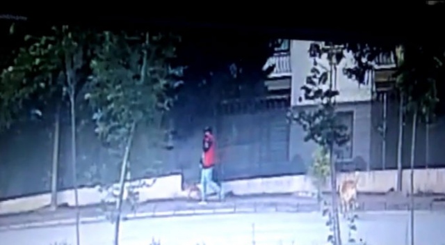 Kapıyı kırıp girdikleri dükkandaki elektronik eşyalara dokunmayıp, köpeği çaldılar Kapıyı kırıp girdikleri dükkandaki elektronik eşyalara dokunmayıp, köpeği çaldılar