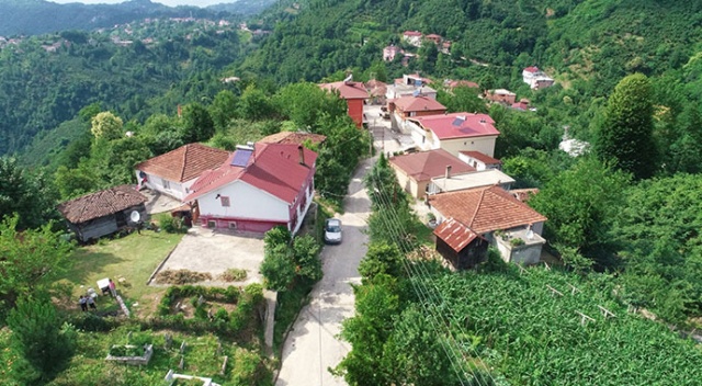 Bu mahallede jandarma 1 kişiyi çağırıyor, 10 kişi karakola gidiyor! Bu mahallede jandarma 1 kişiyi çağırıyor, 10 kişi karakola gidiyor!