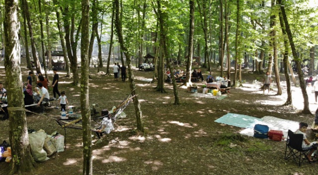 Kısıtlama olmayınca vatandaşlar Belgrad Ormanı'na koştu Kısıtlama olmayınca vatandaşlar Belgrad Ormanı'na koştu