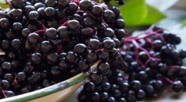 Koronavirüs salgınında değeri daha iyi anlaşıldı Koronavirüs salgınında değeri daha iyi anlaşıldı