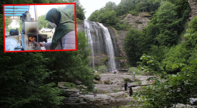 Köylü kadınlar ormanların içine kurdukları çadırla patron oldu