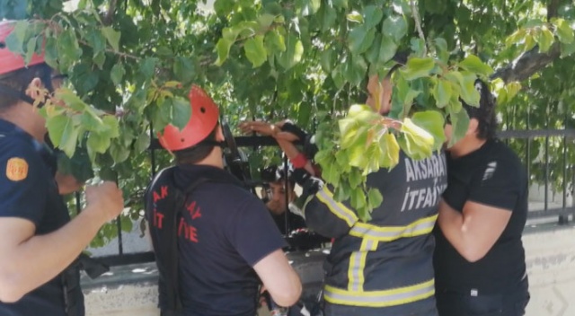 Küçük çocuğun eline demir saplandı