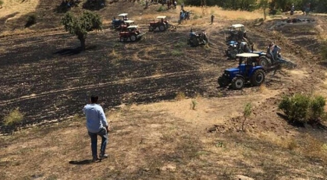 Kulp’ta 83 dönüm ekili arazi kül oldu