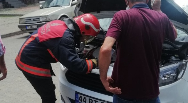 Motora giren yılan, serviste tampon sökülerek çıkarıldı