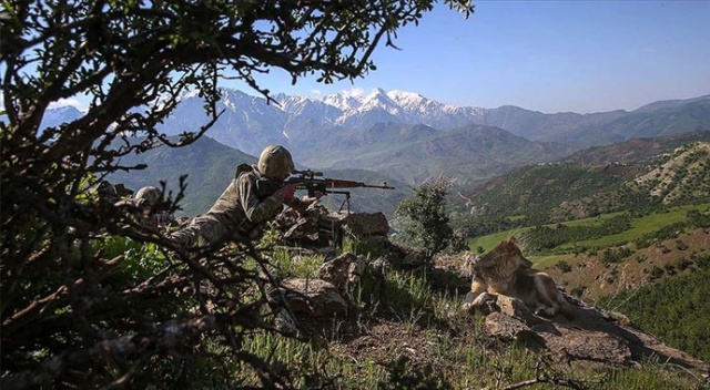 Şırnak, Elazığ ve Diyarbakır’da 6 terörist etkisiz hale getirildi Şırnak, Elazığ ve Diyarbakır’da 6 terörist etkisiz hale getirildi