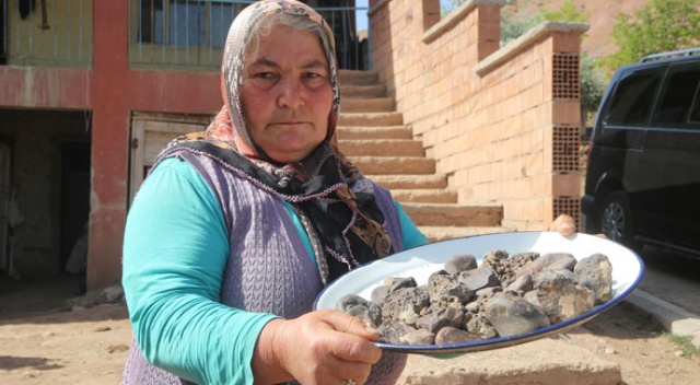 Tarlasından mıknatısla tek tek 45 adet gök taşı topladı Tarlasından mıknatısla tek tek 45 adet gök taşı topladı
