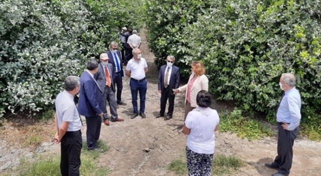 TARSİM'den Adana Turunçgil Üreticileri Birliği Başkanı'na ziyaret TARSİM'den Adana Turunçgil Üreticileri Birliği Başkanı'na ziyaret