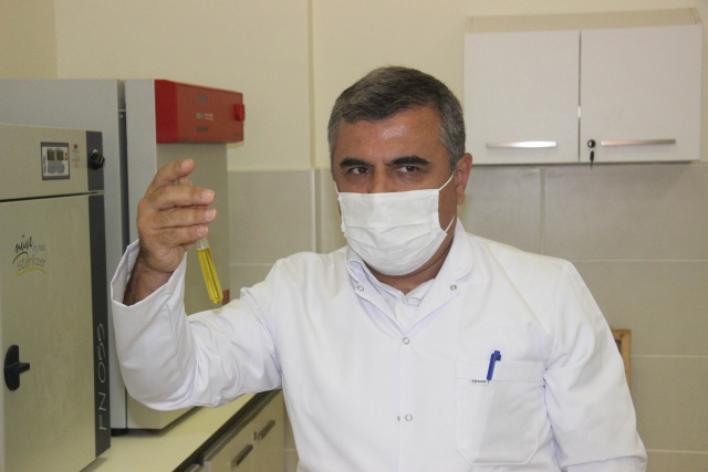 Türkiye'de ilk kez Kilis zeytinyağında Omega-7 yağ asidi bulundu