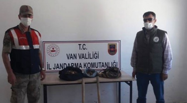 Van’da kaçak salep soğanı toplayan 2 kişiye 147 bin TL ceza kesildi