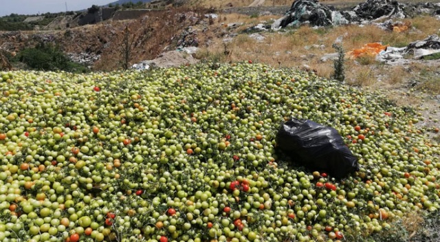 2 tır domatesi boş araziye attılar 2 tır domatesi boş araziye attılar