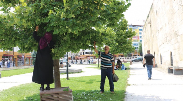 Aktarda 90 TL, Sivas'ın parklarında bedava