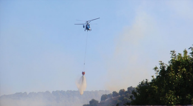 Aydın dağları alevlere teslim oldu