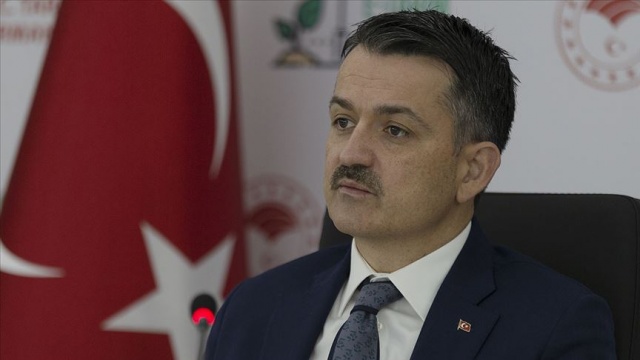 Bakan Pakdemirli: Tüm orman yangınları kontrol altında