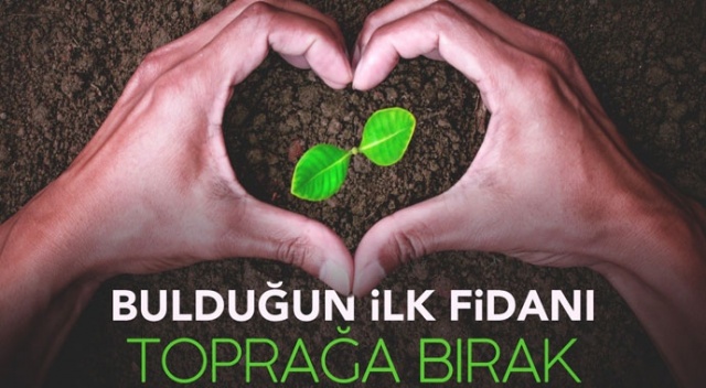 Bakan Selçuk'tan, Gelibolu ağaçları anısına fidan dikme çağrısı Bakan Selçuk'tan, Gelibolu ağaçları anısına fidan dikme çağrısı