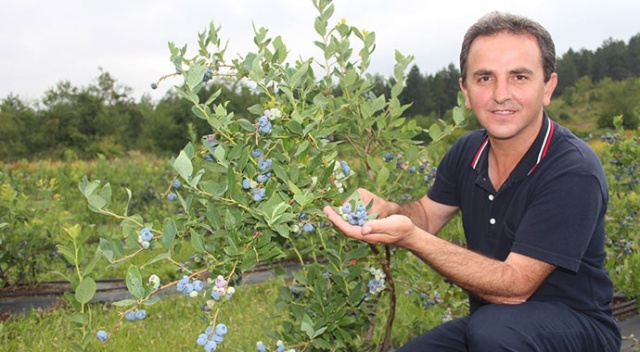 Bu meyvenin kilosu 60 lira! Faydaları ise saymakla bitmiyor