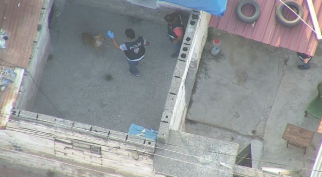 Çete operasyonunda polise pitbull şoku
