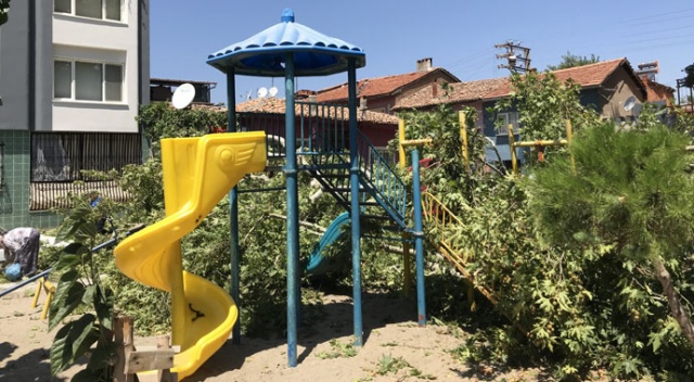 Çocuk parkındaki tarihi çınar ağacı devrildi: 3 araç hasar gördü Çocuk parkındaki tarihi çınar ağacı devrildi: 3 araç hasar gördü