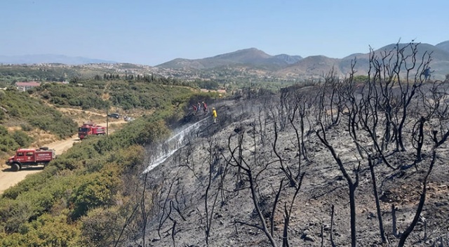 Datça’daki yangında 2 dönüm makilik alan zarar gördü