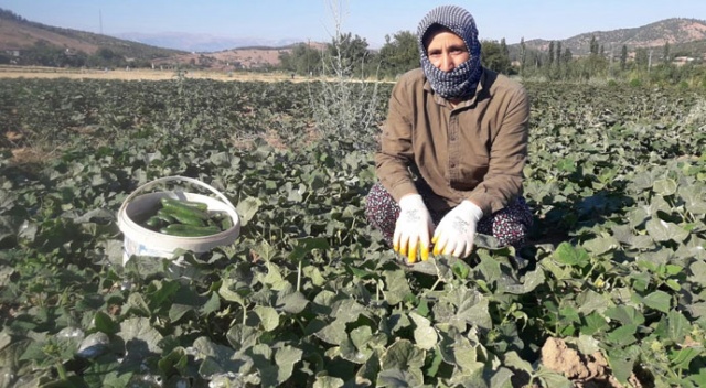 Ev hanımıydı, kendi işinin patronu oldu Ev hanımıydı, kendi işinin patronu oldu