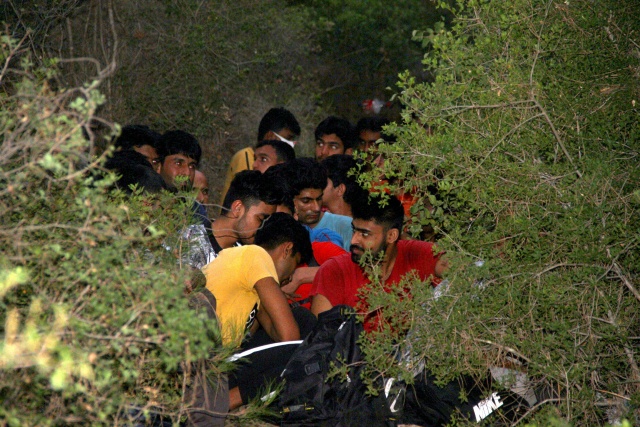 Fethiye’de 54 düzensiz göçmen yakalandı