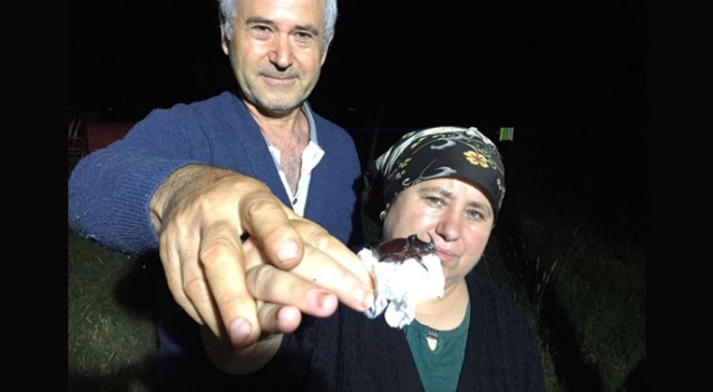 Gergedan böceklerine dondurma ikram ettiler, öz çekim yaptılar Gergedan böceklerine dondurma ikram ettiler, öz çekim yaptılar