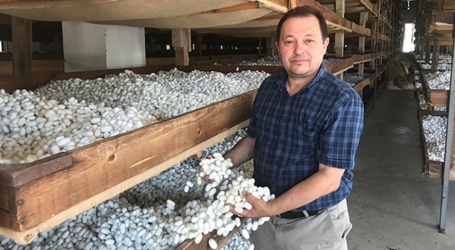 Salgın bu sektöre yaradı! 40 günde 15 bin lira kazandıran meslek