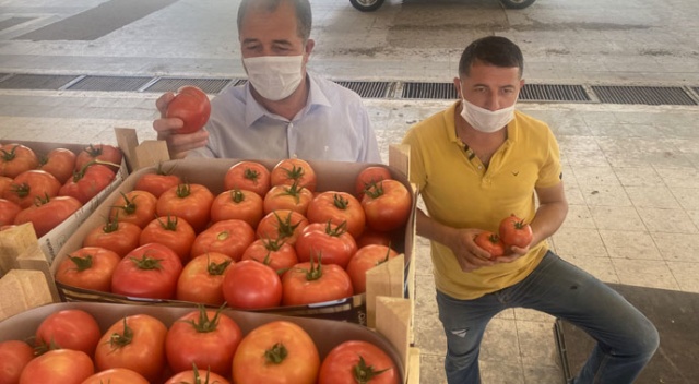 Sarıcakaya domatesi piyasayı rahatlattı! Fiyatlar da düştü...