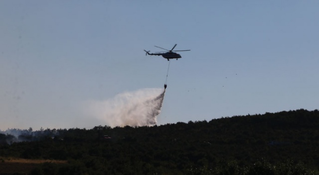 Tekirdağ’da orman yangını: Havadan ve karadan müdahale ediliyor