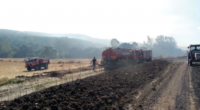 Tekirdağ'daki orman yangınının sebebi belli oldu!