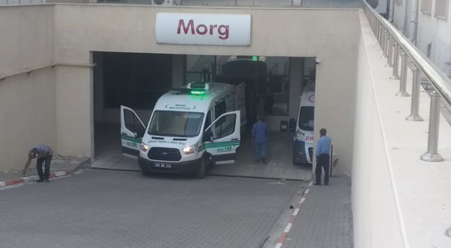 Üzerine ağaç devrilen şahıs hayatını kaybetti Üzerine ağaç devrilen şahıs hayatını kaybetti