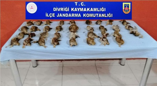 35 adet dağ bıldırcını 23 bin liraya patladı