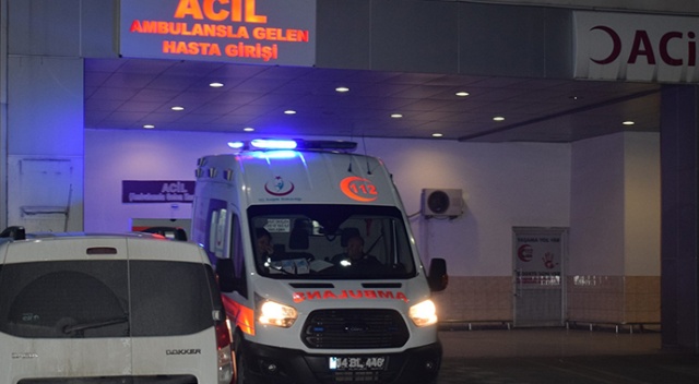 52 yaşındaki besici, tosun darbesi ile öldü