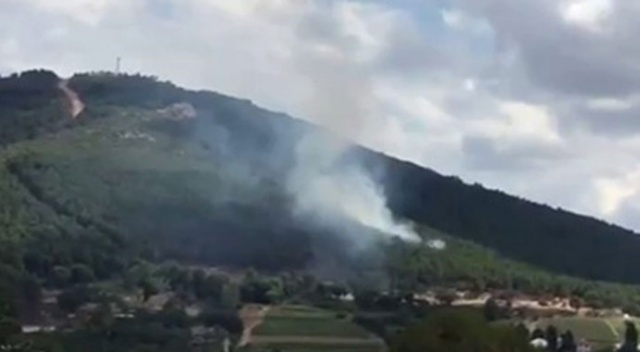 Aydos Ormanı'nda yangın Aydos Ormanı'nda yangın