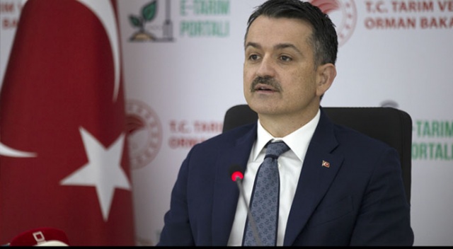 Bakan Pakdemirli: Tedbirleri aldık, gıdada sıkıntı yok Bakan Pakdemirli: Tedbirleri aldık, gıdada sıkıntı yok