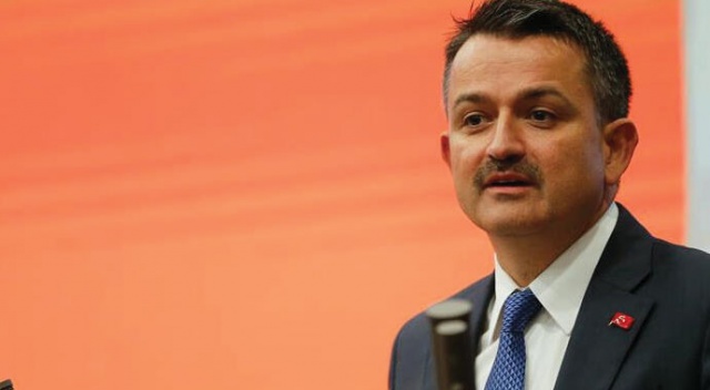 Bakan Pakdemirli: &#039;Uşak, İzmir, Denizli ve Bursa’daki yangınlar kontrol altına alındı&#039;
