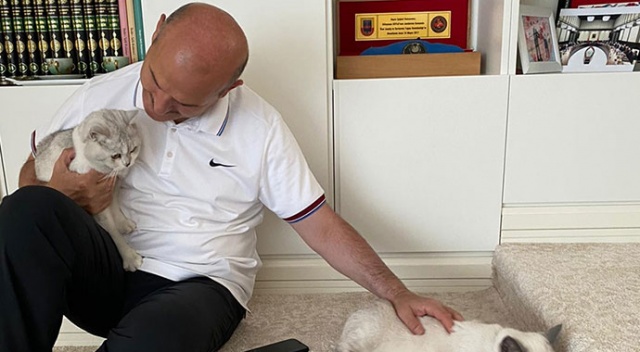 Bakan Soylu&#039;dan Dünya Kediler Günü paylaşımı