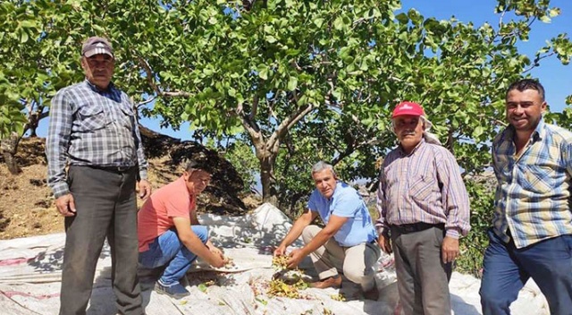 Burası Antep değil Aydın