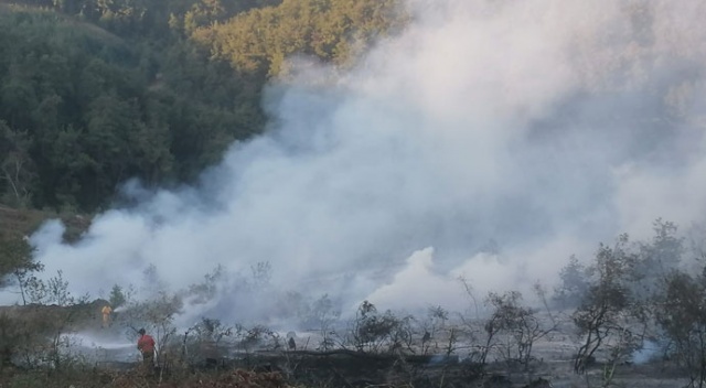 Bursa’da orman yangını kontrol altına alındı