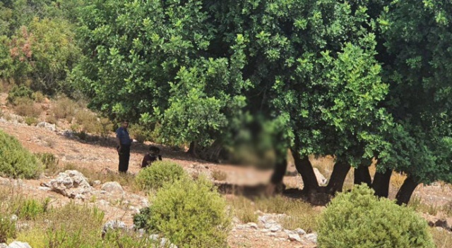 Eşine 'dağlık alana gidiyorum' deyip evden çıktı, ağaca asılı cansız bedeni bulundu Eşine 'dağlık alana gidiyorum' deyip evden çıktı, ağaca asılı cansız bedeni bulundu
