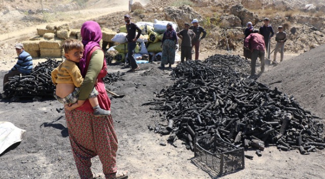 Kavurucu sıcakta kan ter içinde ekmek mücadelesi Kavurucu sıcakta kan ter içinde ekmek mücadelesi