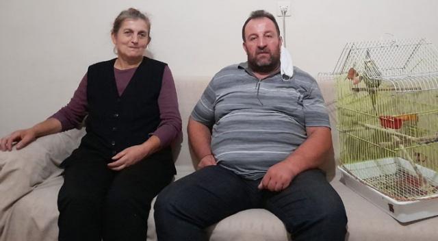 Kayıp papağanını getirene bin lira ödül verecek