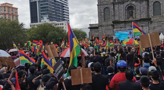 Mauritius’da binlerce kişi yunus ölümlerini protesto etti