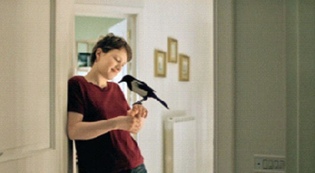 Prestijli filmler festivale geliyor