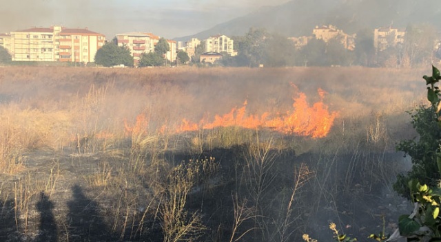 Şehir merkezindeki kuru otlar cayır cayır yandı