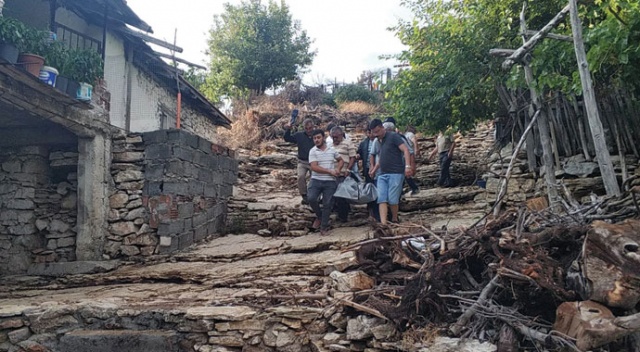 Sığındığı ağacın altında ölü bulundu